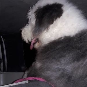 Meet your Posher, Samantha